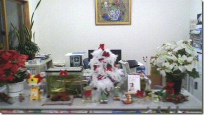 ｸﾘｽﾏｽ２０１０